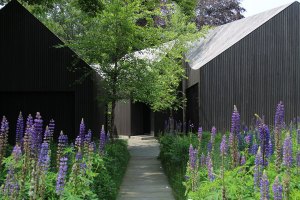 Featured Image