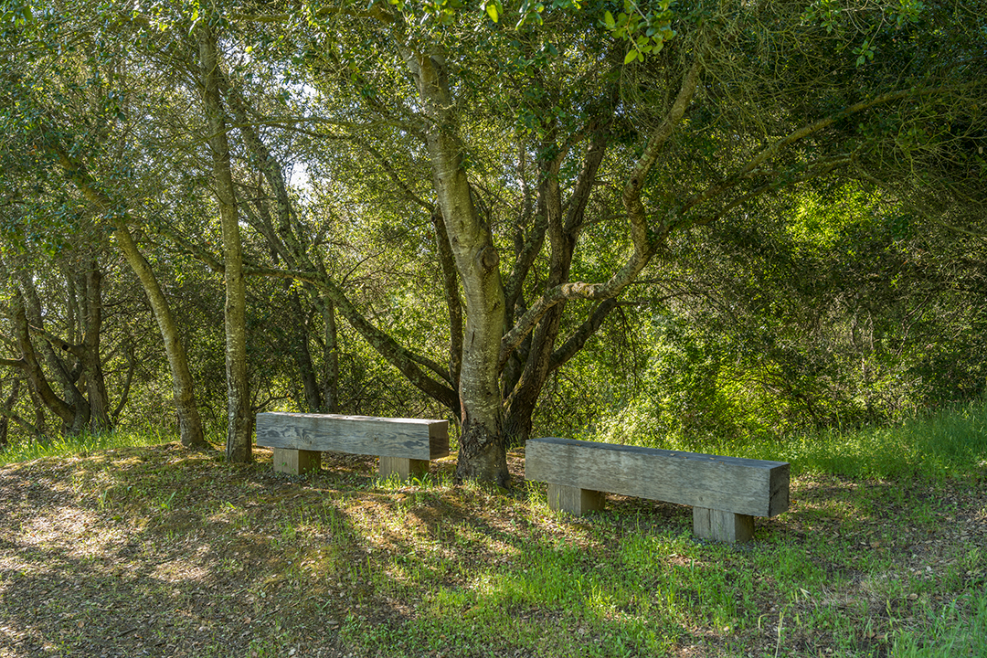 Tour Napa Valleys Most Expensive Home On The Market Moulds Family Vineyard X