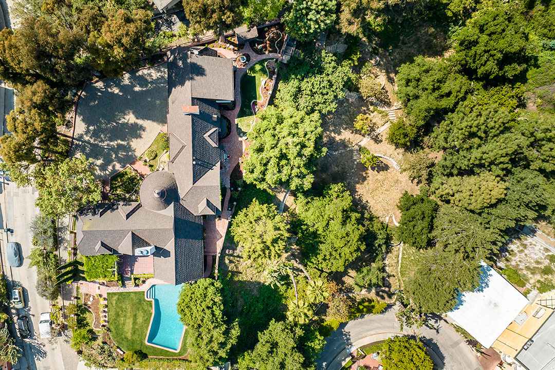 52 Walt Disney Birds Eye