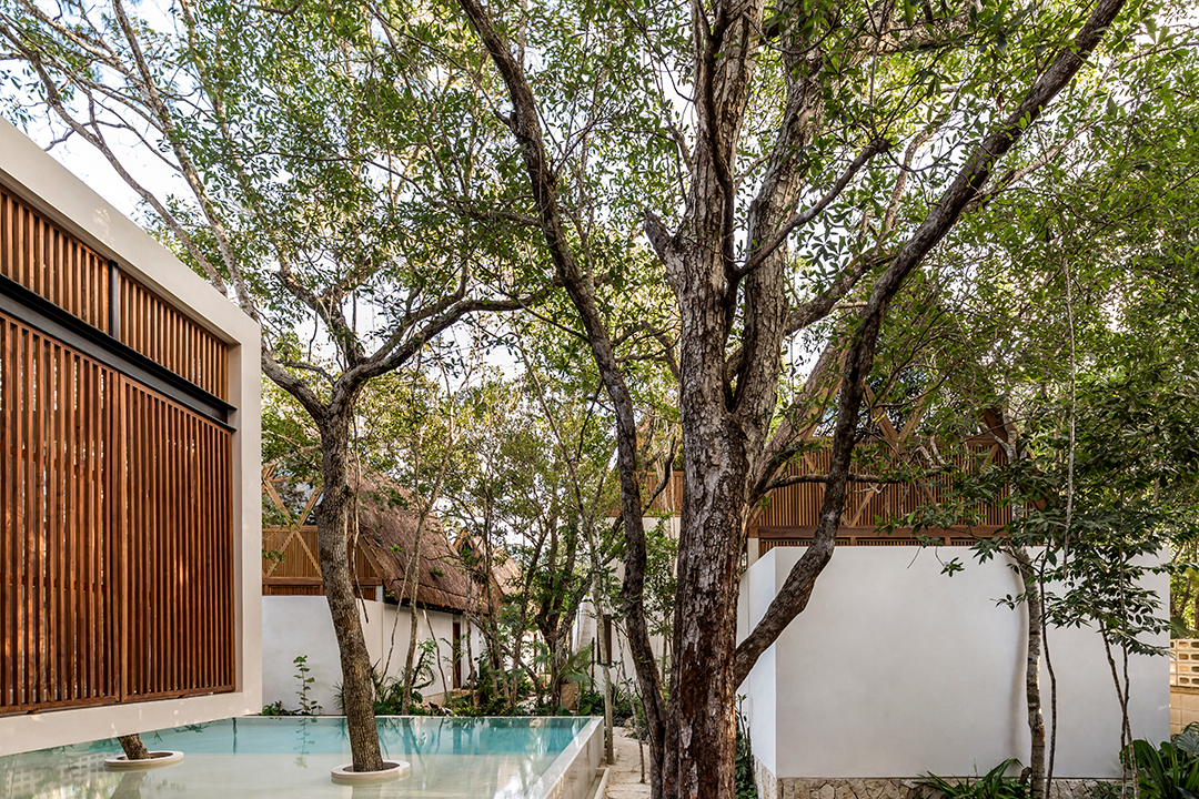 An Organic Minimalist Style Boutique Hotel In Tulum Can Be Yours For Under 2m Tree Forest By Cesar Bejar