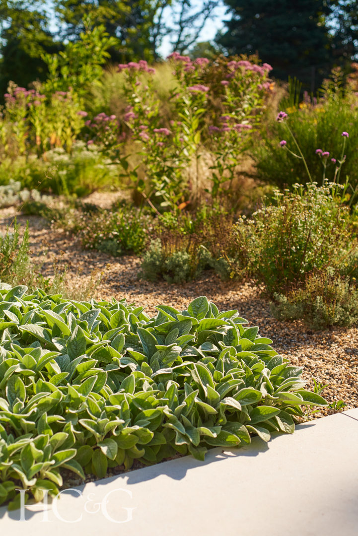 Forden Dhy8397 Ph Doug Young