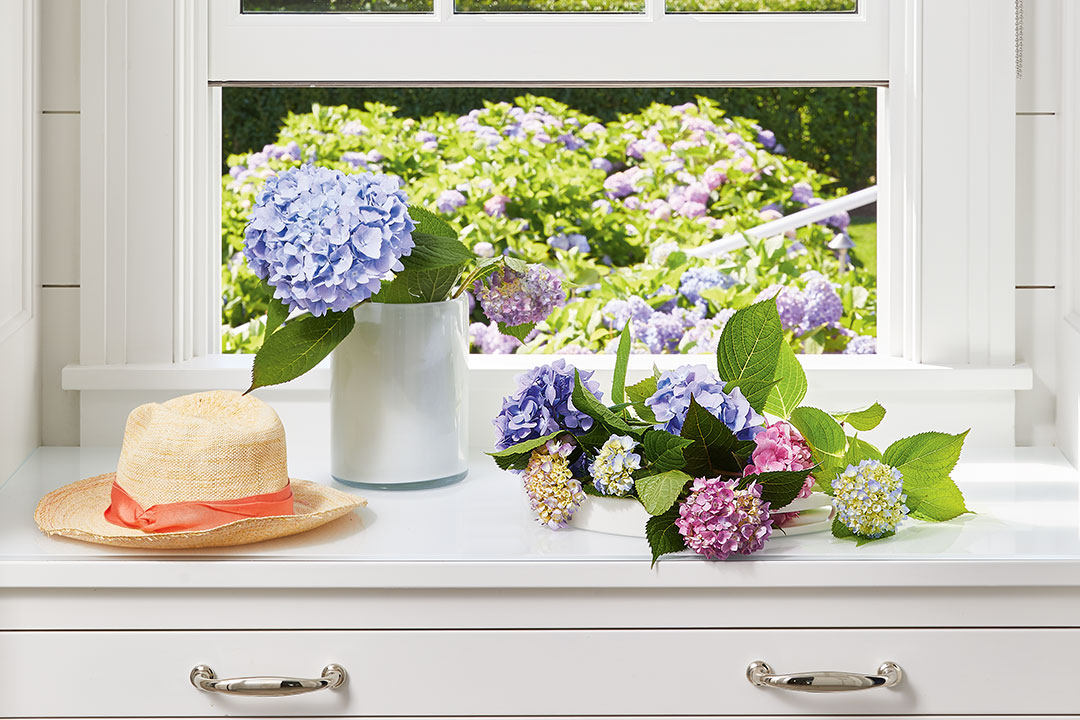 These Nine Nantucket Spaces Boast Coastal Charm and Luxe Living