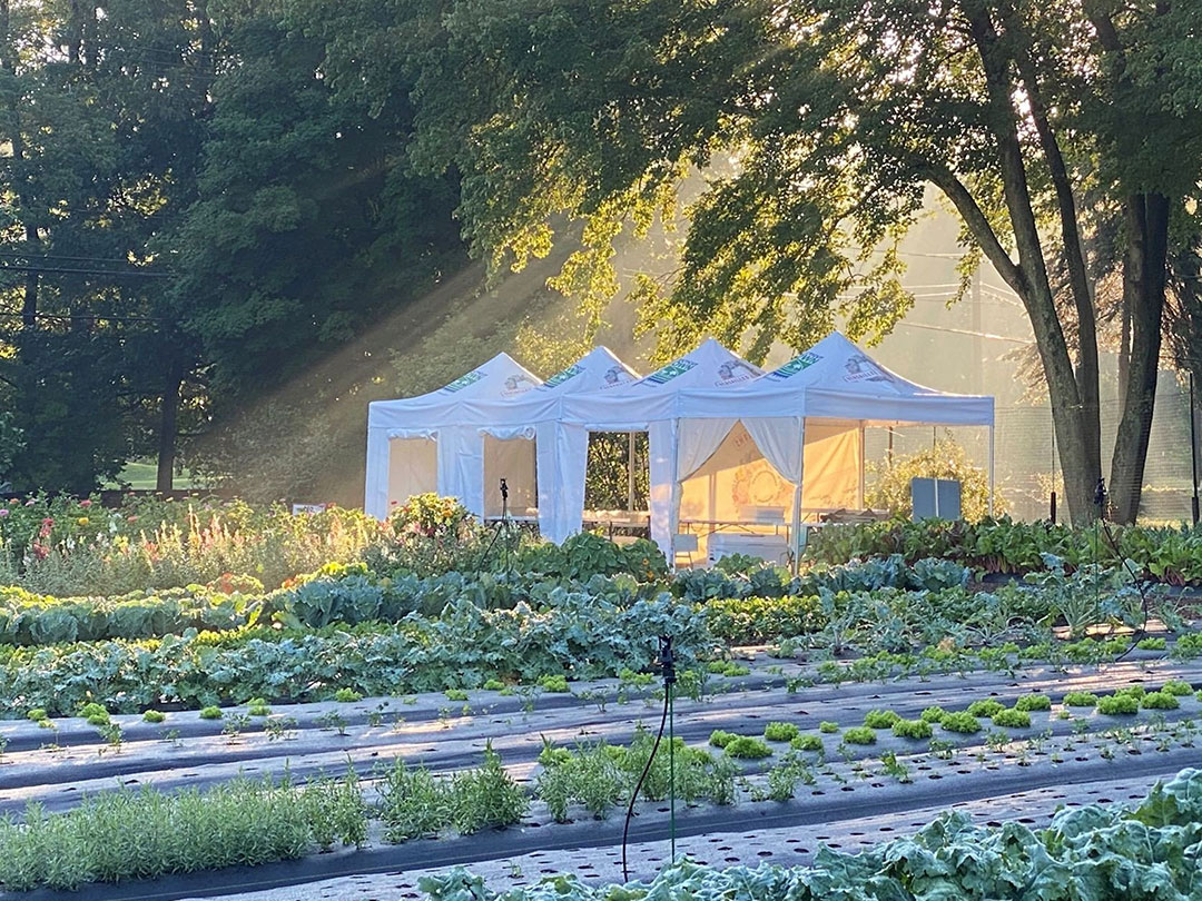 23 Versailles Farm Tents