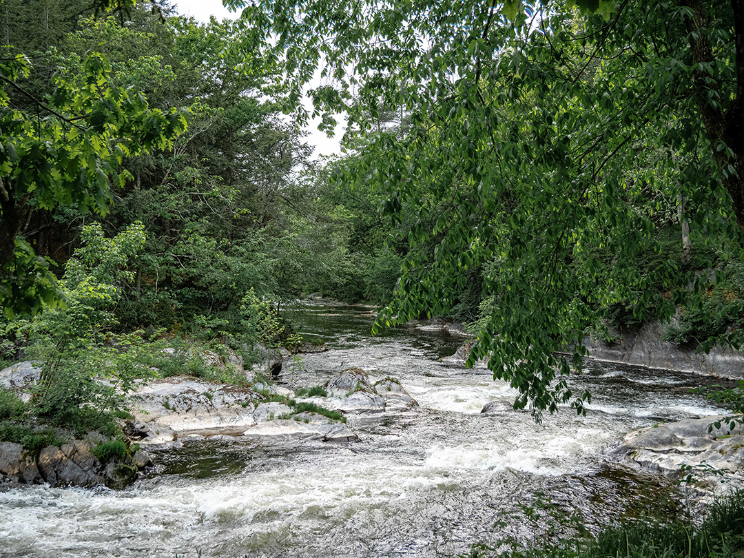 Heiress Beverly Kerzners Hudson Valley Paradise Hits The Market For 25m 461 Silvernails Road Pine Plains Ny 79