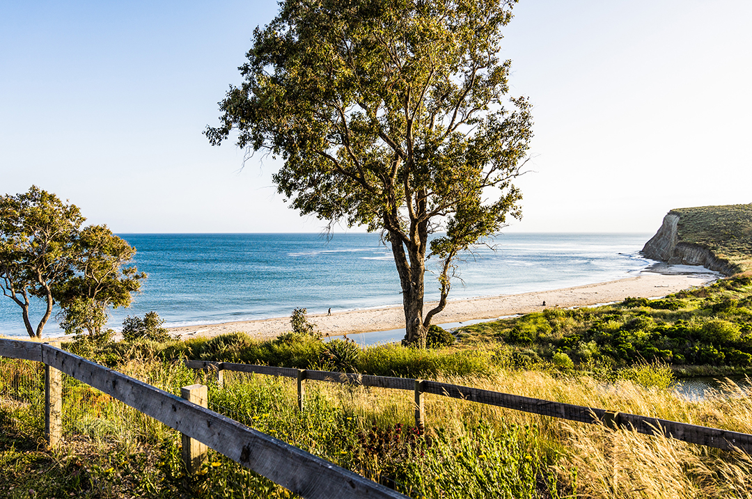 James Camerons Lush Longtime California Ranch Just Hit The Market O