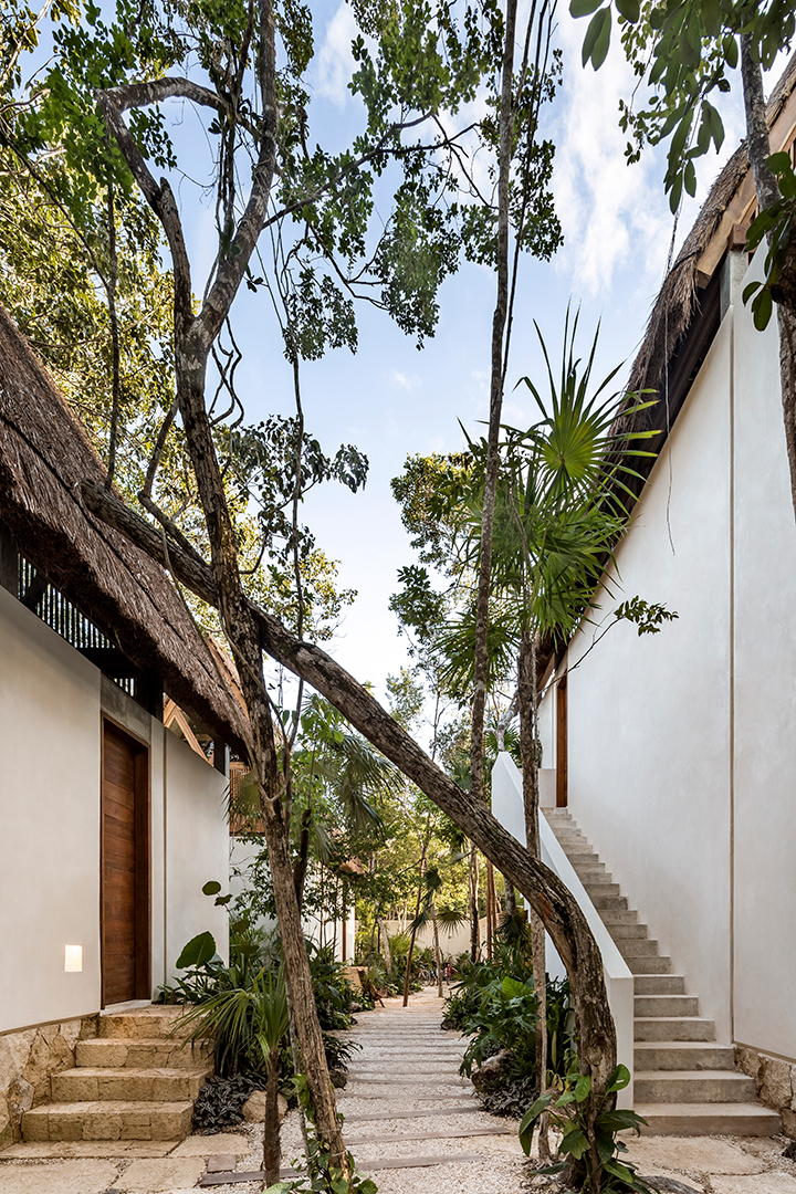 An Organic Minimalist Style Boutique Hotel In Tulum Can Be Yours For Under 2m Pathway By Cesar Bejar