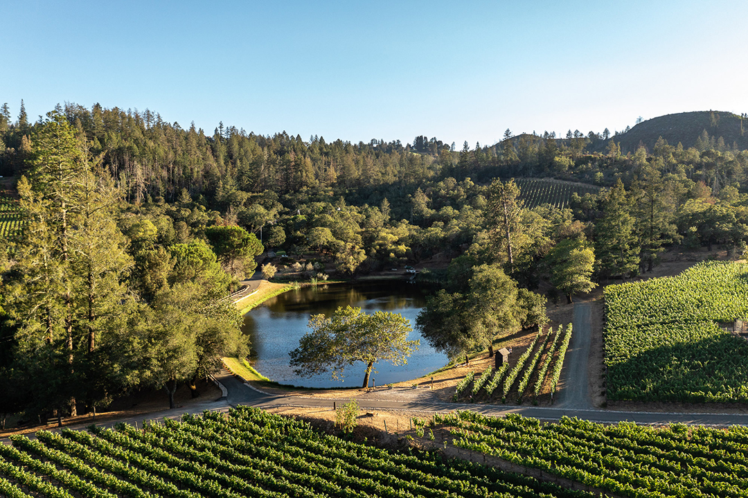 Take A Tour Of The Grounds Of This Napa Valley Compound Priced At 18m Zzzzzzzzzz