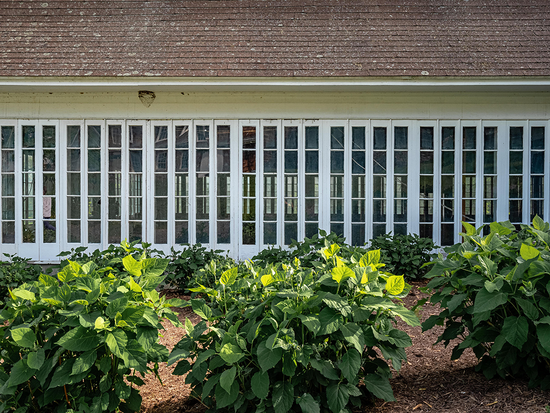 Heiress Beverly Kerzners Hudson Valley Paradise Hits The Market For 25m 461 Silvernails Road Pine Plains Ny 43