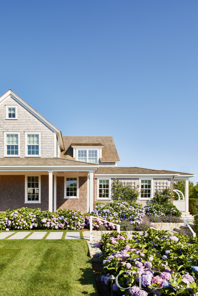 Lynn Morgan 65m Print 27 683x1024