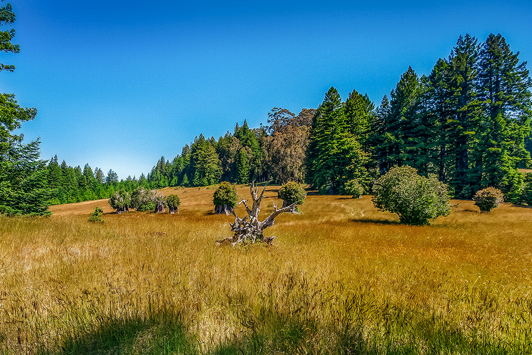 Actor And Country Music Icon Kris Kristofferson Lists Coastal California Ranch Mendocinodrone Kk 27