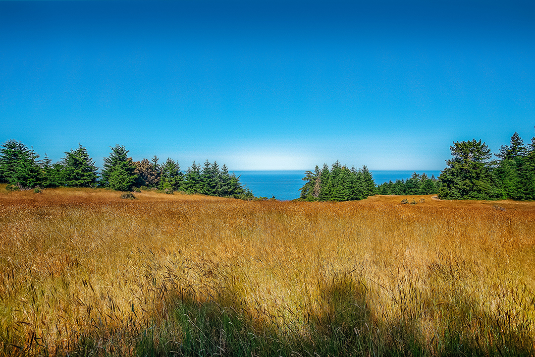 Actor And Country Music Icon Kris Kristofferson Lists Coastal California Ranch Mendocinodrone Kk 24