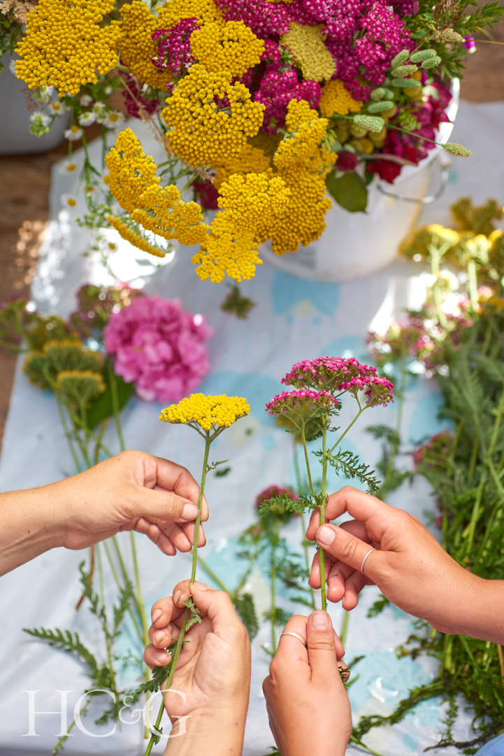 Broadviewflowers Dhy 0962