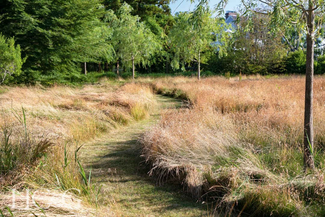 Ldg Meadow Retreat 2