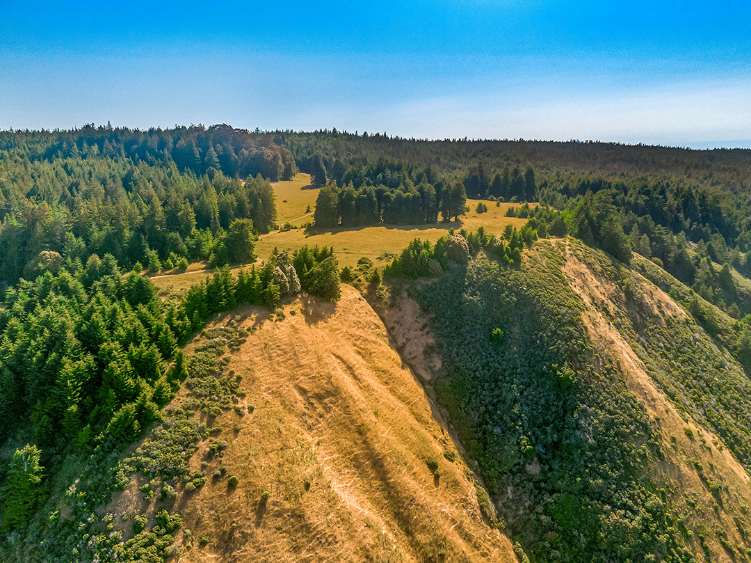Actor And Country Music Icon Kris Kristofferson Lists Coastal California Ranch Mendocinodrone Kk 17