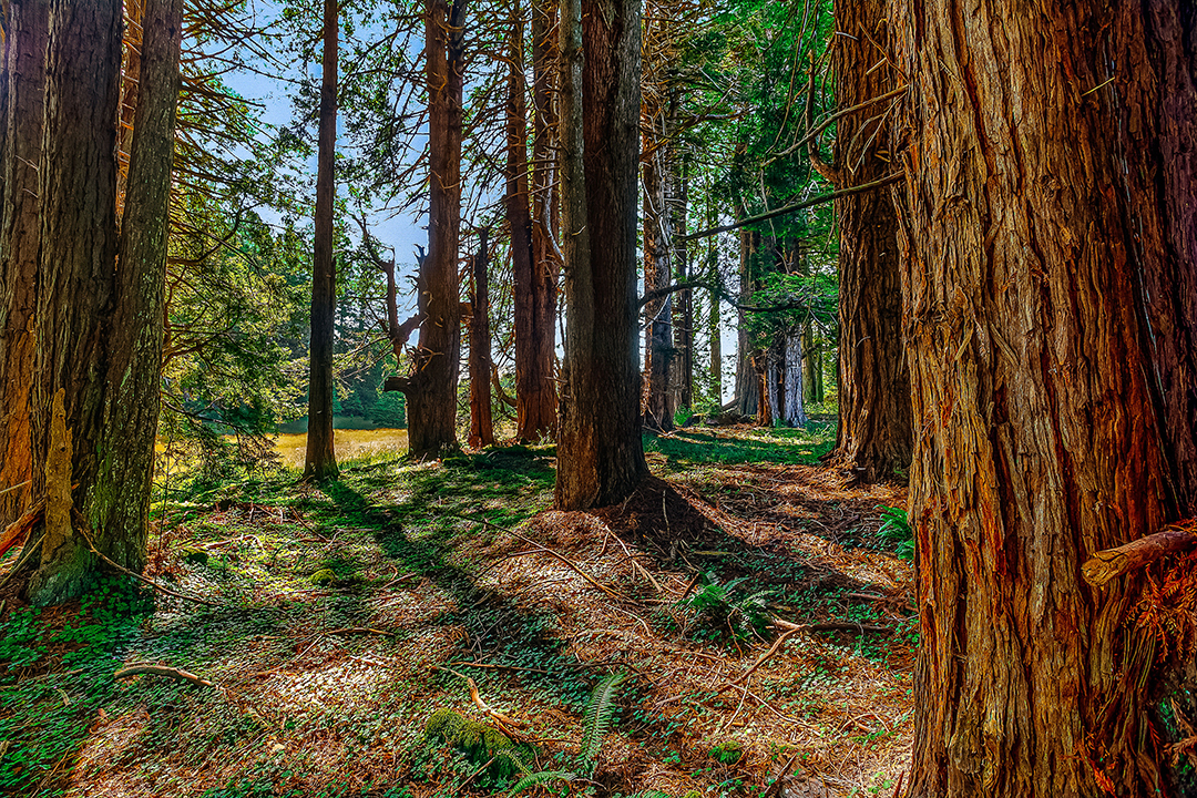 Actor And Country Music Icon Kris Kristofferson Lists Coastal California Ranch Mendocinodrone Kk 26