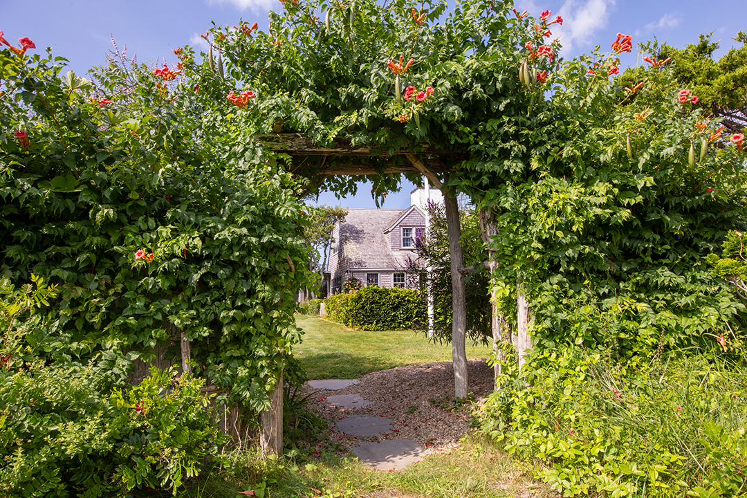 Diane Sawyer Asks 24m For Her 20 Acre Marthas Vineyard Compound L