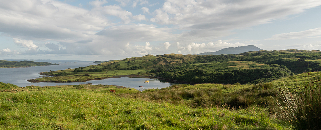 A 270 Acre Private Island In Scotland Is On The Market For The First Time In 85 Years Torsa 78