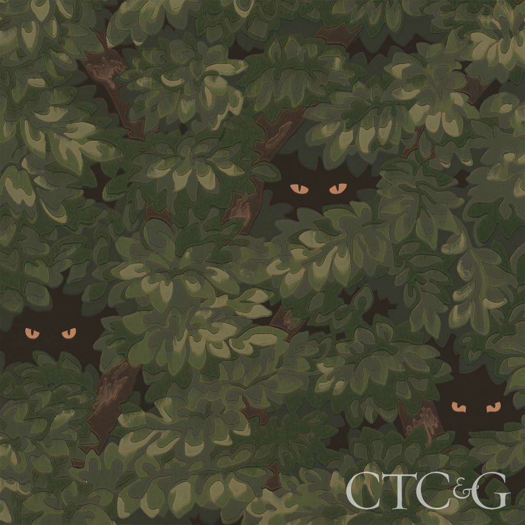 Zakfox Creatures Of The Night Zfcfnwc 01 F 2
