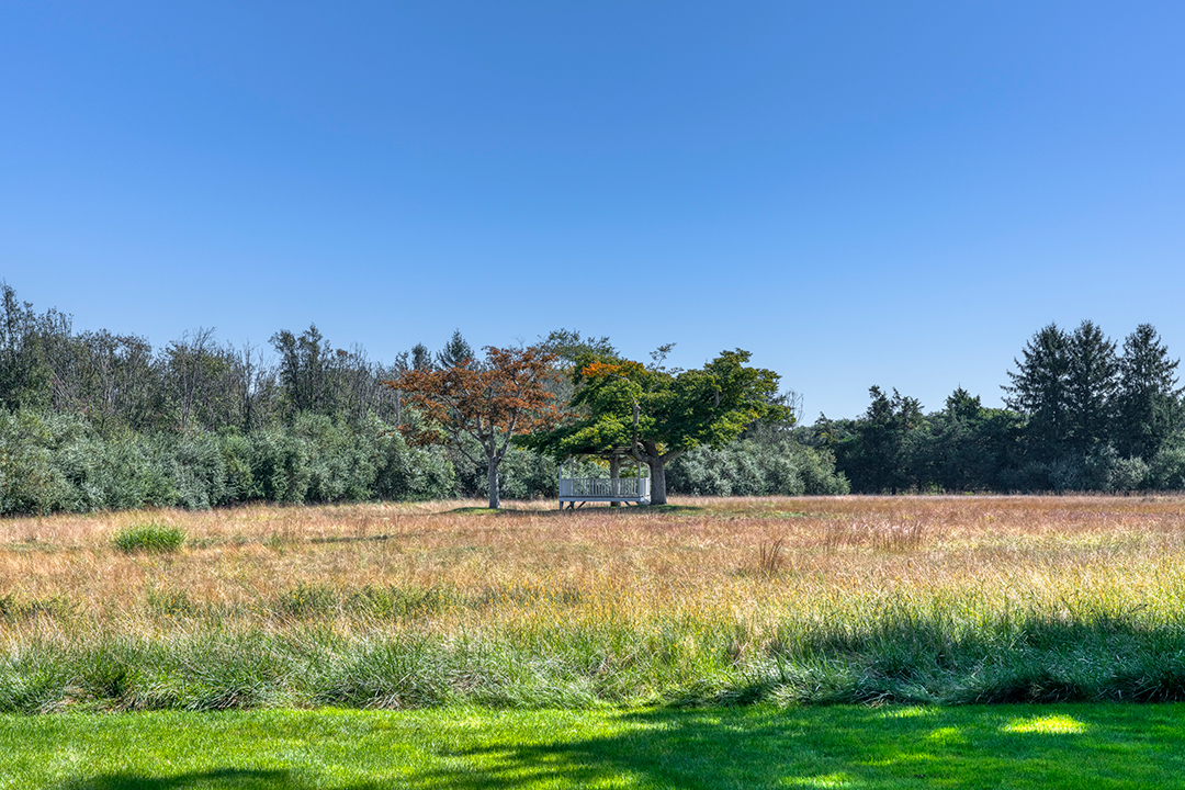 Late Architect And Designer Thierry Desponts Southampton Estate Asks 20m 320 Majors Path Southampton Gazebo And Field