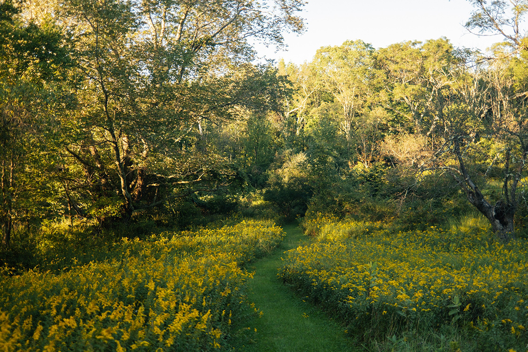 British Artists Gary Hume And Georgie Hopton List Lovely Upstate New York Compound 047