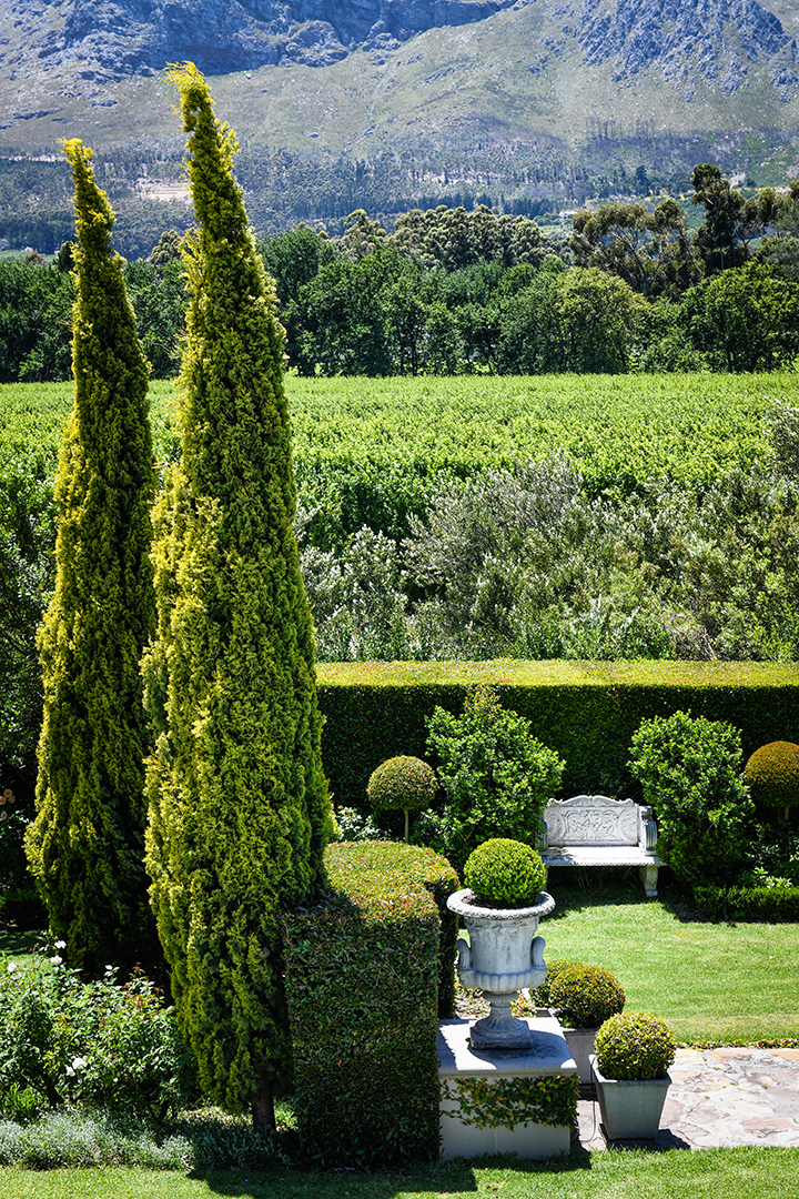 Captivating South Africa Villa With An Established Olive Orchard And Vineyard Wants 5 25m Gardens 3