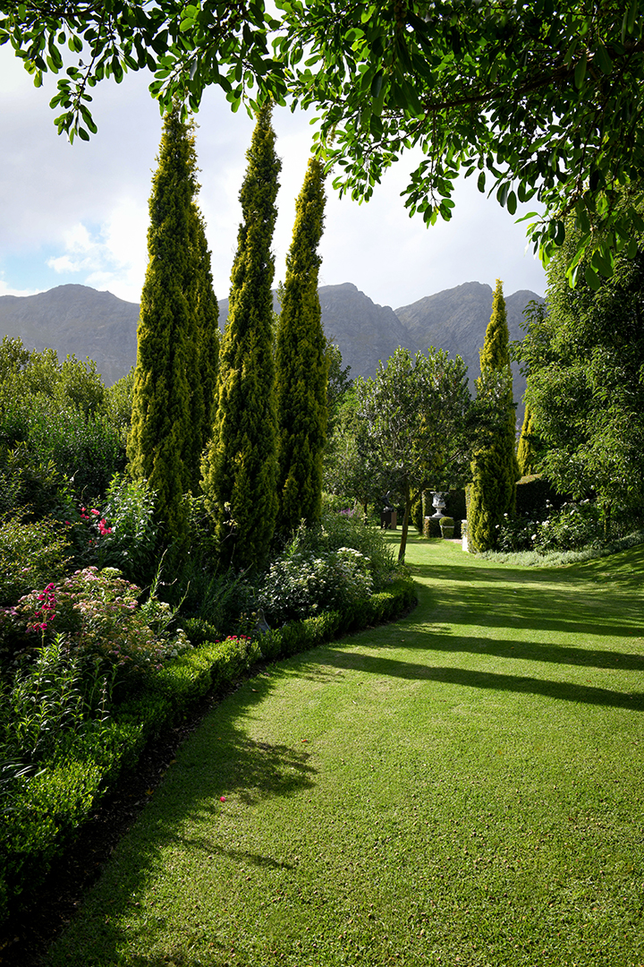 Captivating South Africa Villa With An Established Olive Orchard And Vineyard Wants 5 25m Gardens 5