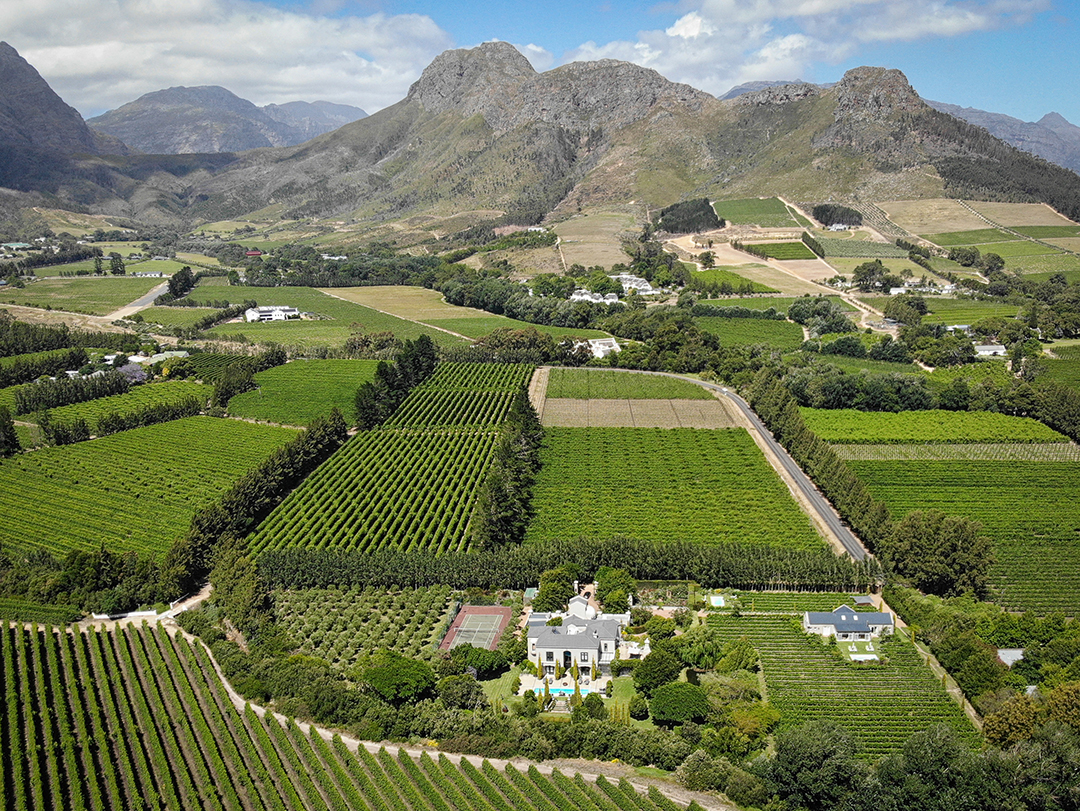 Captivating South Africa Villa With An Established Olive Orchard And Vineyard Wants 5 25m Aerial 2