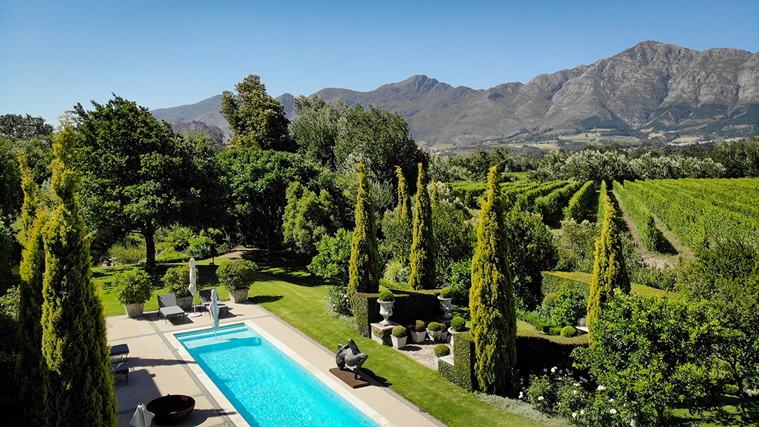 Captivating South Africa Villa With An Established Olive Orchard And Vineyard Wants 5 25m Gardens 11