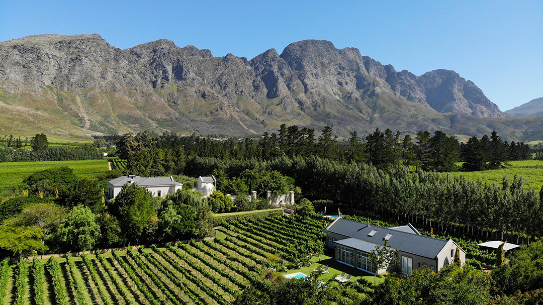 Captivating South Africa Villa With An Established Olive Orchard And Vineyard Wants 5 25m Captivating South Africa Villa With An Established Olive Orchard And Vineyard Wants 5 25m Aerial 4