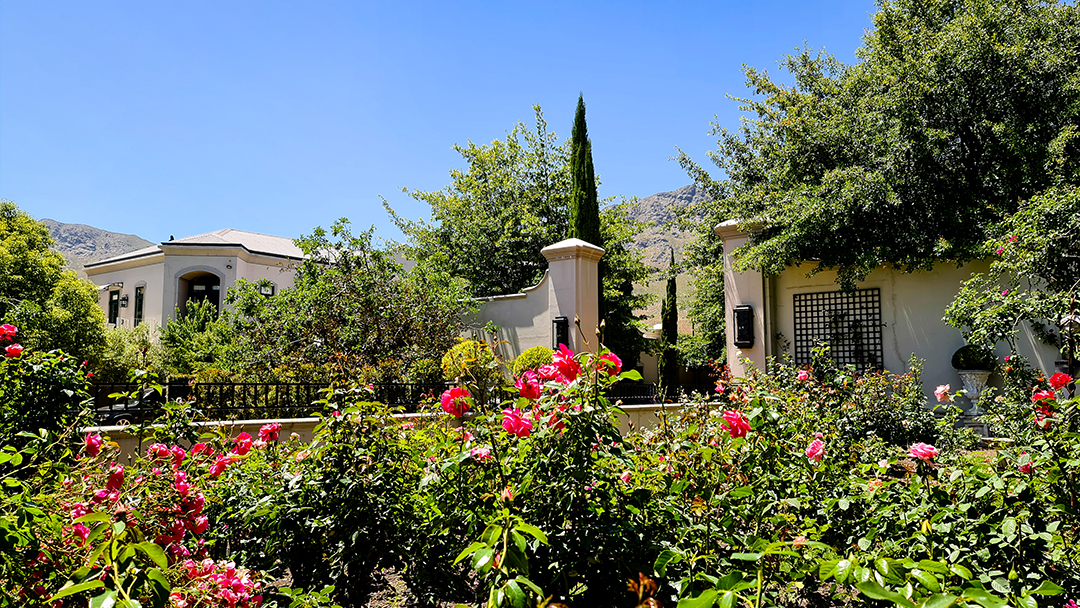 Captivating South Africa Villa With An Established Olive Orchard And Vineyard Wants 5 25m Gardens 9