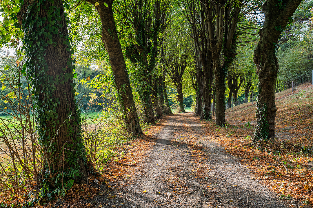 Mozarts Masterful Former Castle Is Up For Sale In Austria Mozarts Last Castle 38