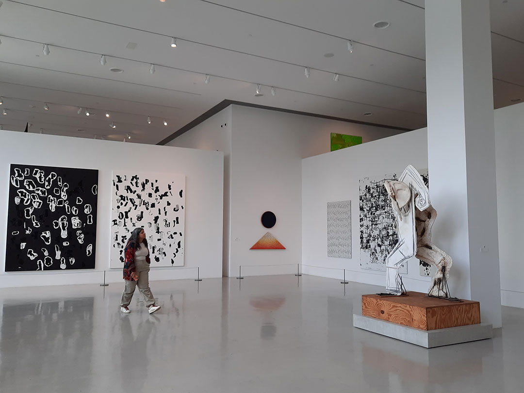 92 Browsing At The De La Cruz Collection