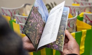 Madoo in Manhattan 2024