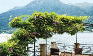 Gardens We Think Celebs Will Love, Based on Their Met Gala Dresses