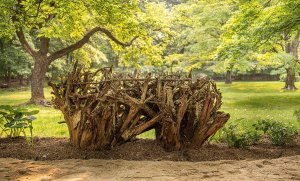 Voices of CTC&G: Behind the Scenes of a Photoshoot with Neil Landino Jr.