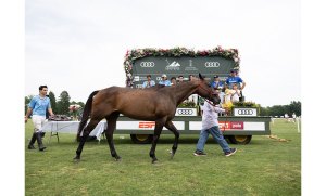 Sunday, June 23 at Greenwich Polo