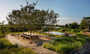 Three Must-See Gardens in The Hamptons