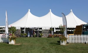 CTC&G’s 20th Anniversary at Greenwich Polo