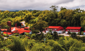 Have You Tried This Rum from Martinique?