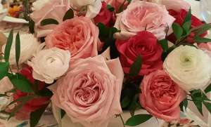 Palm Beach Hot Pink Luncheon & Symposium