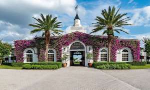 Explore Three Exquisite Stables in Wellington