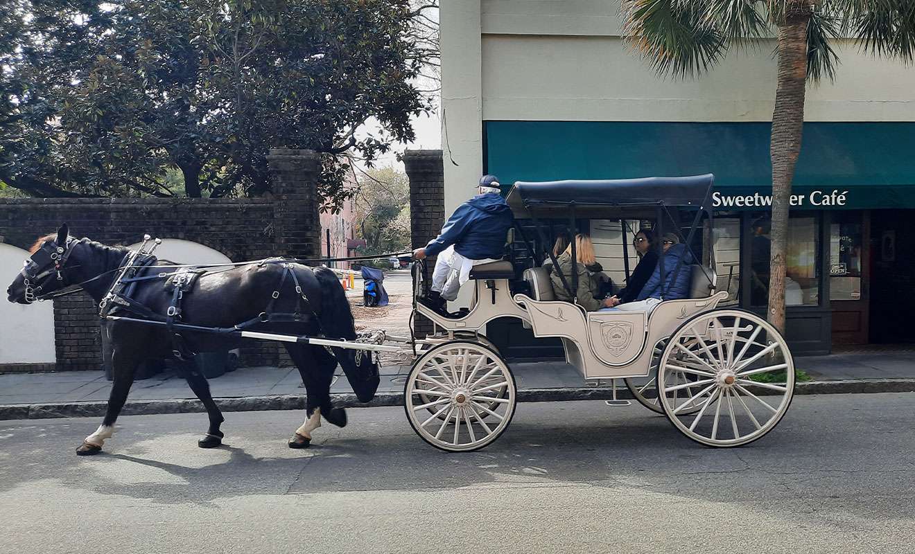 Visiting Charleston: Historic and Beyond