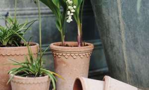 Six Tools for Spring Gardening