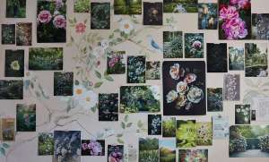 All About Roses, Through the Lens of Ngoc Minh Ngo