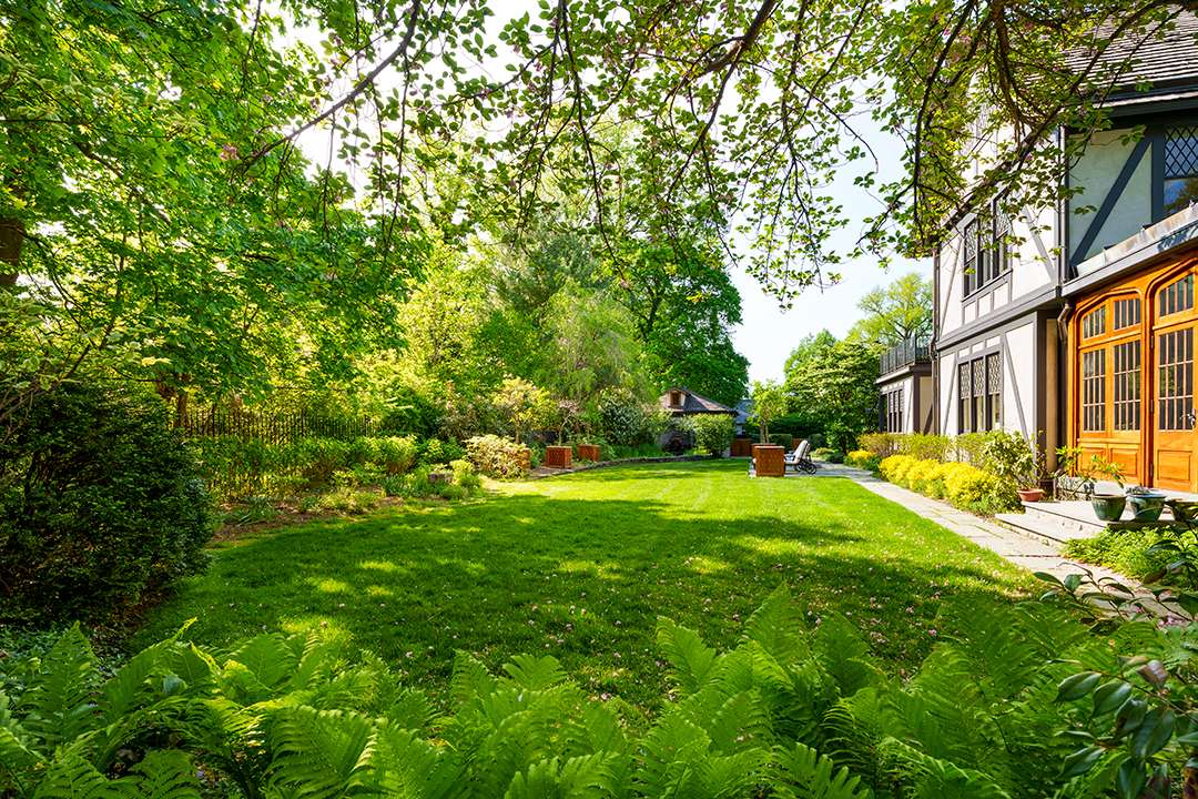 Lucious greenery surrounds backyard
