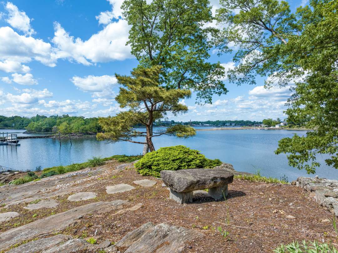 Westchester river and trees