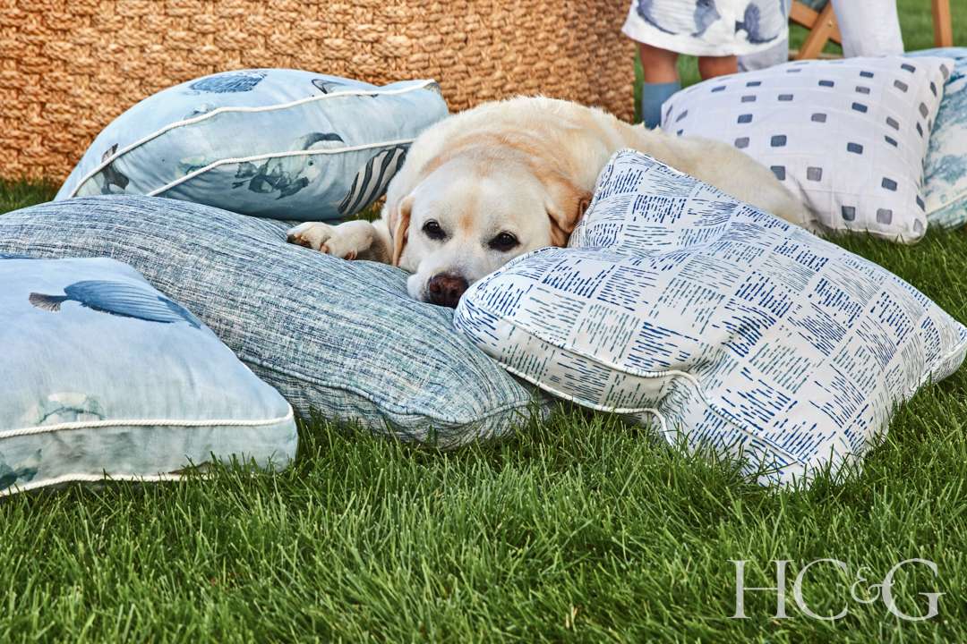 Hamptons Yellow Labrador with Blue Pillows