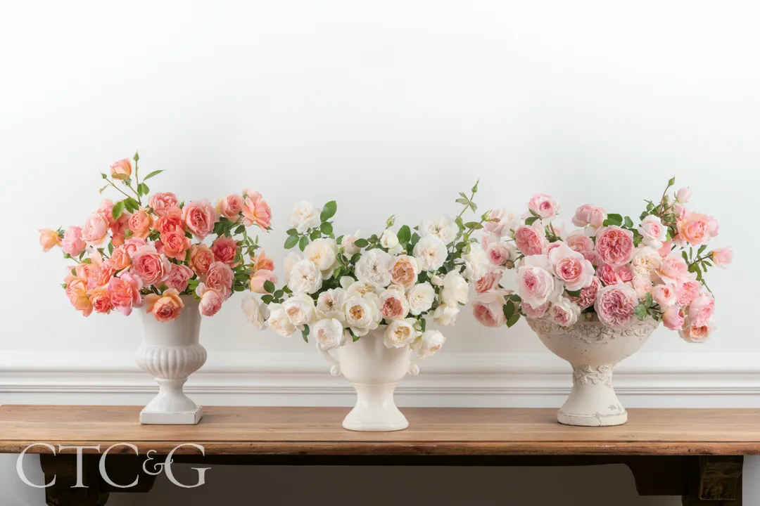 White and pink roses in vases