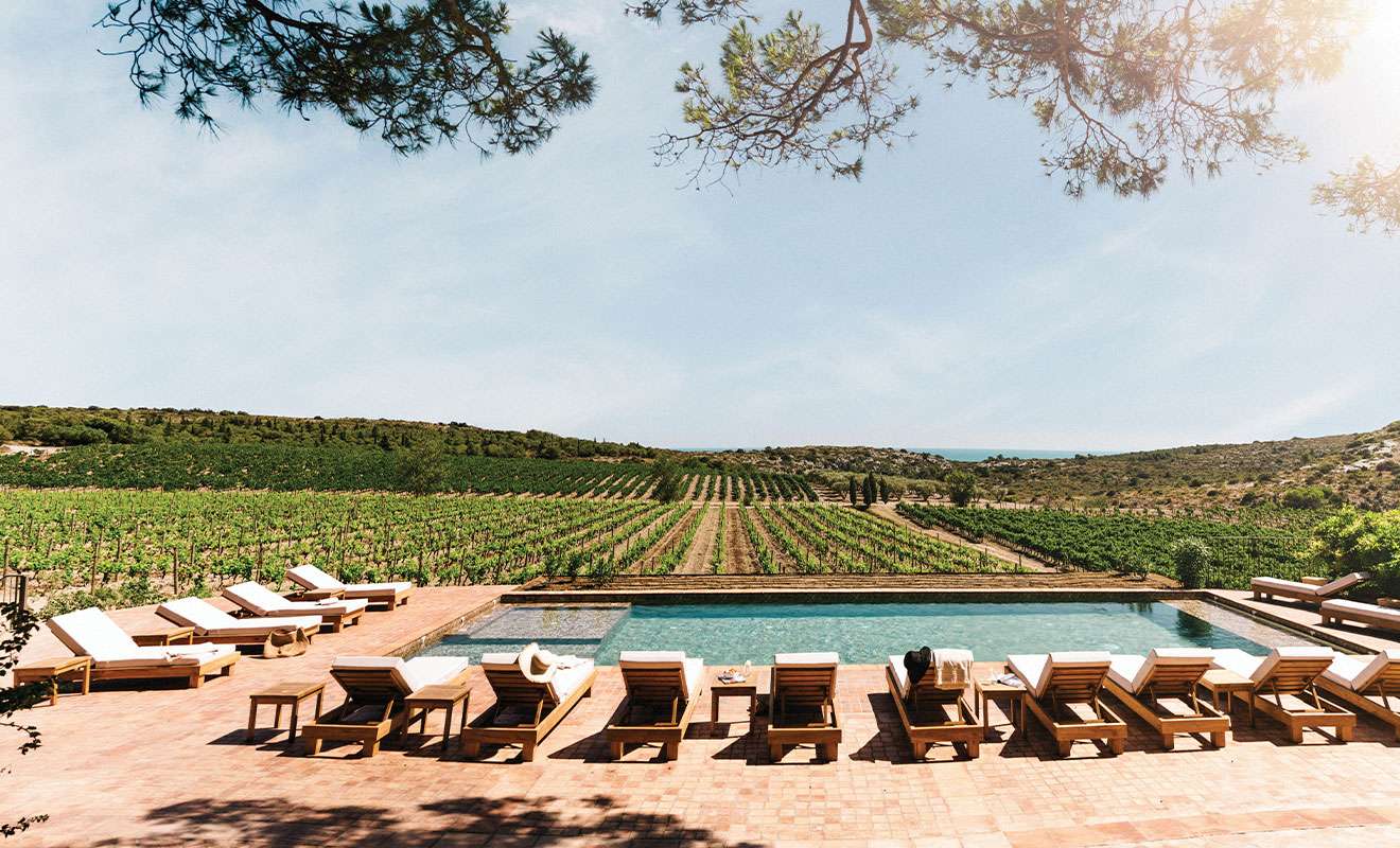 Pool surrounded by vineyards in the South of France