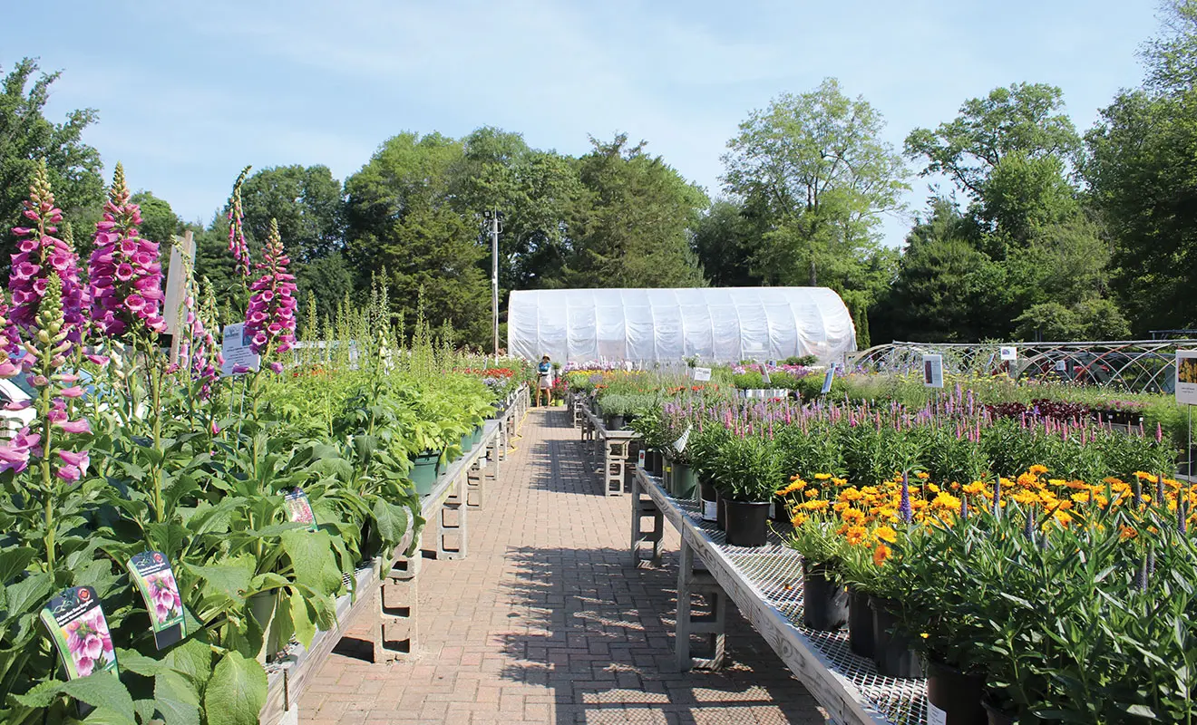 Connecticut Nursery Crawl